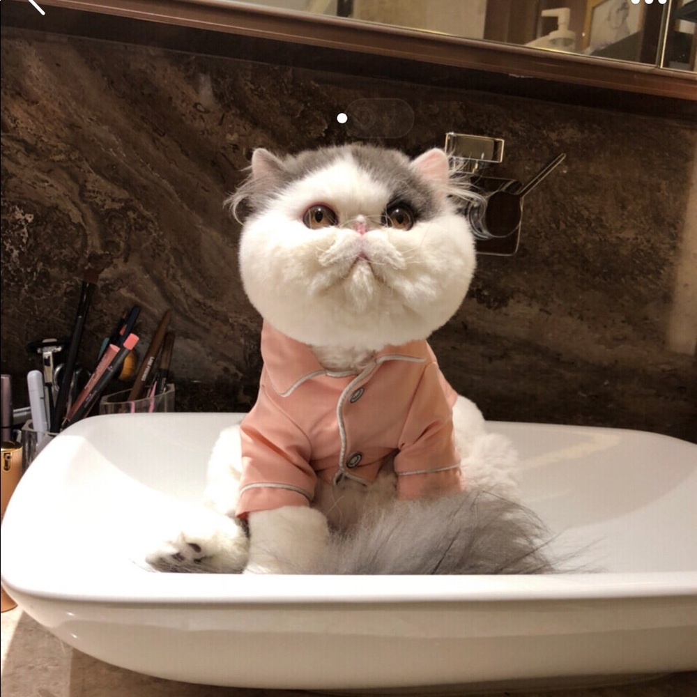 Meet your Posher, Cici